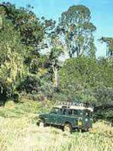 License Image