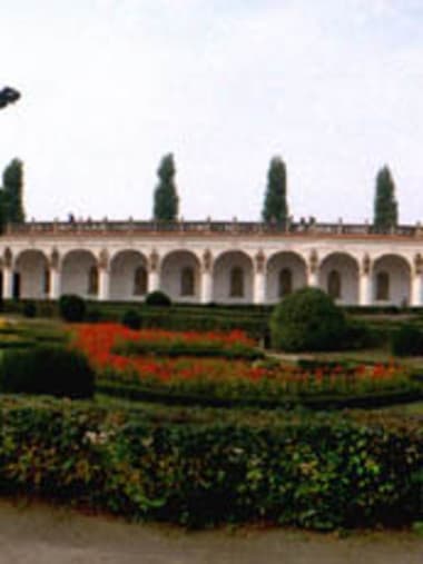 License Image