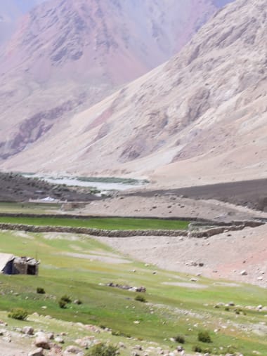 License Image