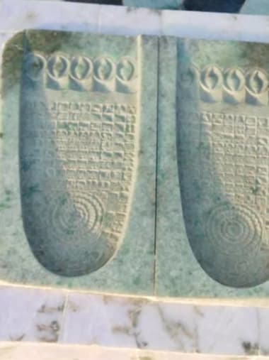 License Image