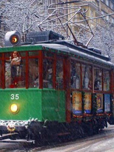 License Image