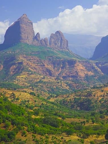 License Image
