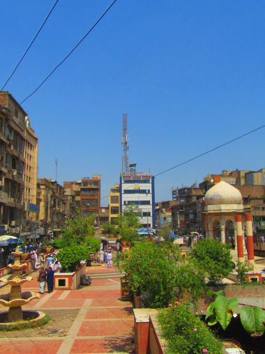 License Image