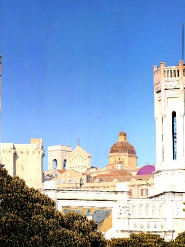 License Image