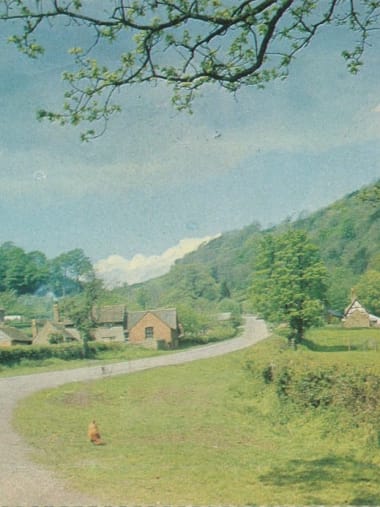 License Image