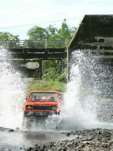 License Image