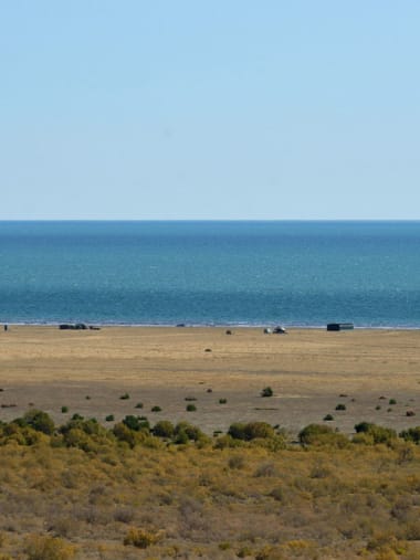 License Image