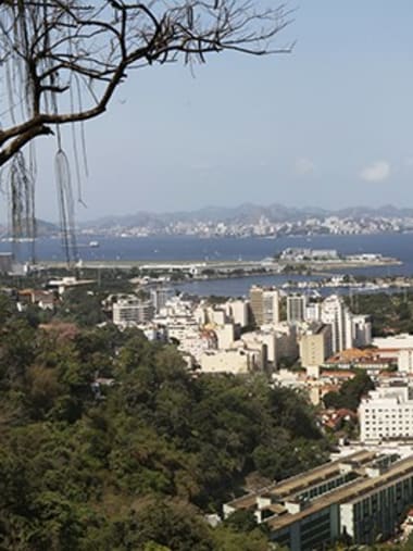 License Image