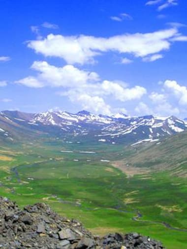 License Image