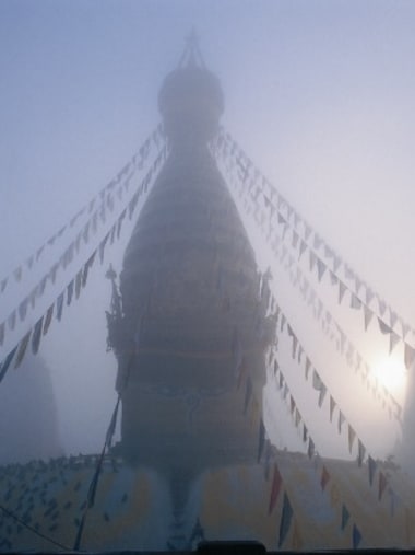 License Image