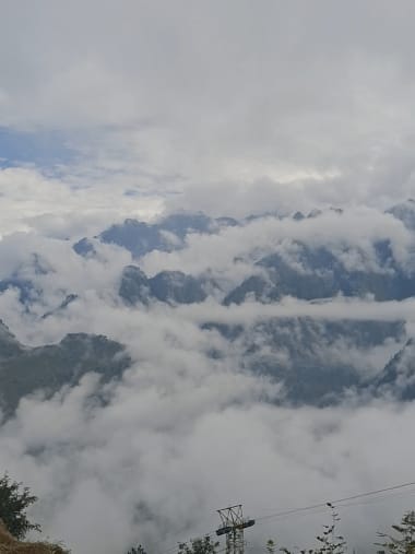 License Image
