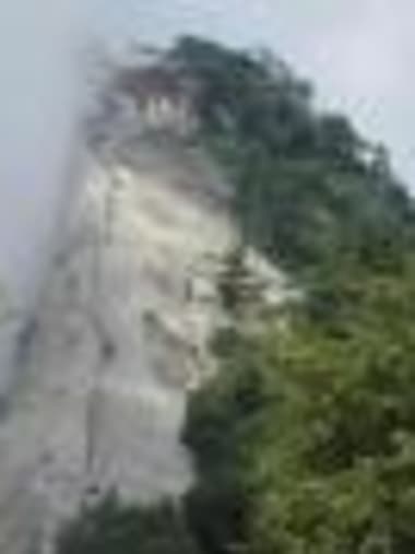 License Image