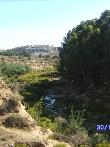 License Image