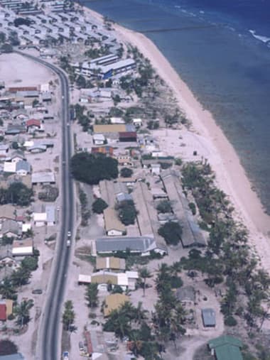 License Image
