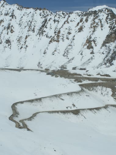 License Image