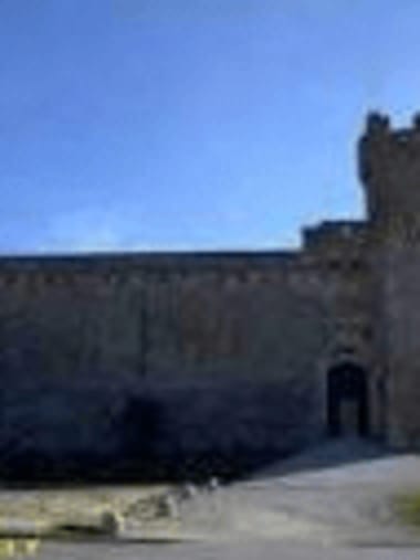 License Image