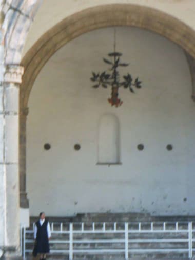 License Image