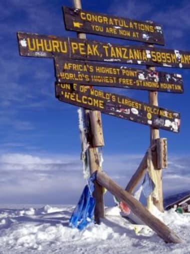 License Image
