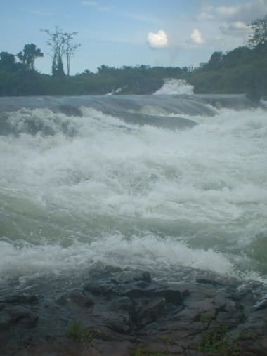 License Image