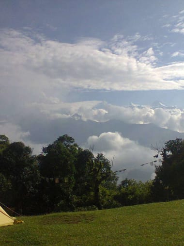 License Image