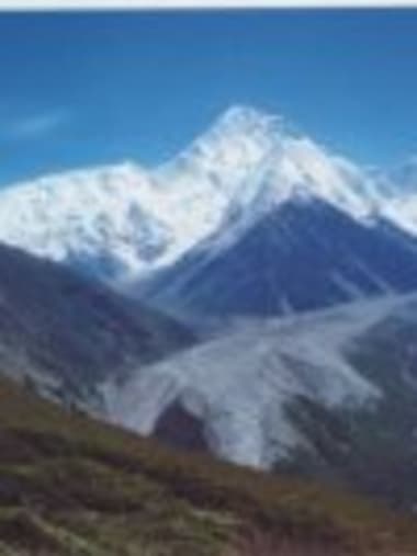 License Image