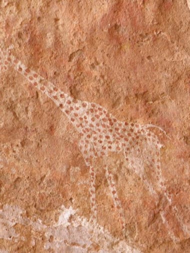 License Image