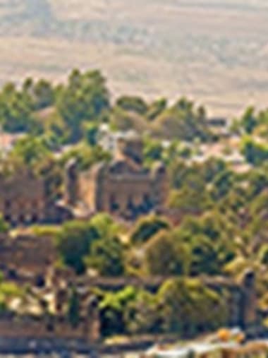 License Image