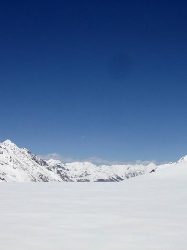 License Image
