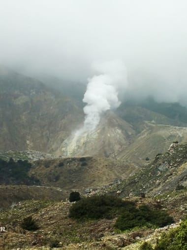 License Image