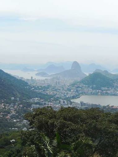 License Image