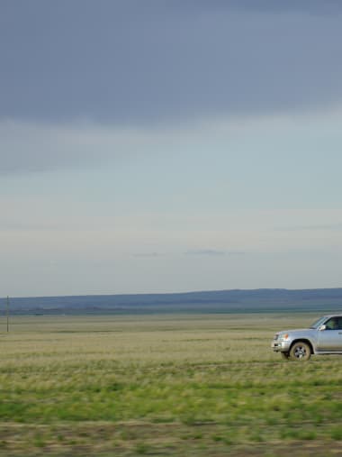 License Image