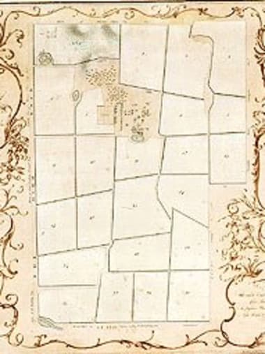 License Image