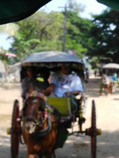 License Image