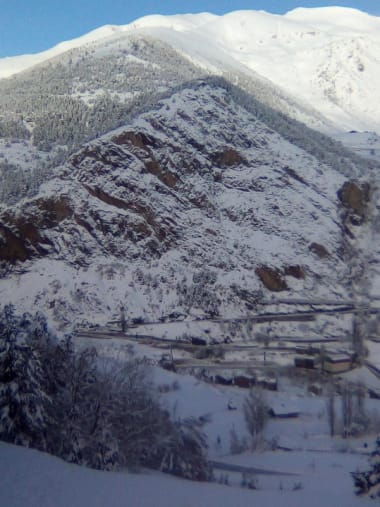 License Image