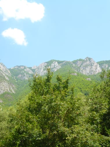 License Image