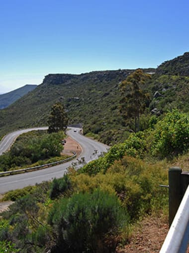 License Image