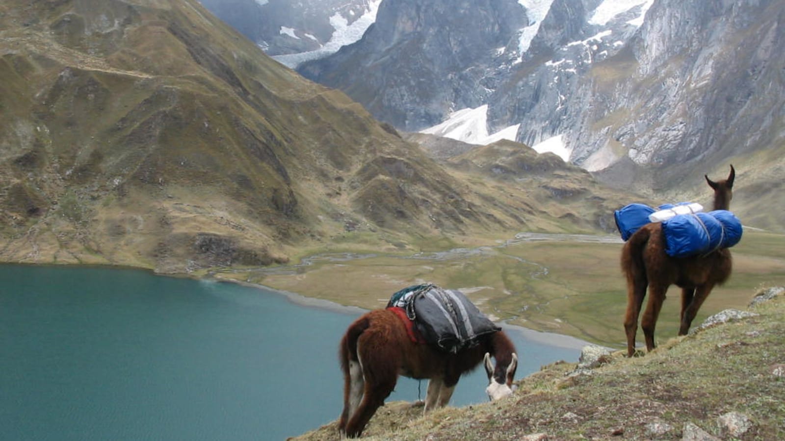 7-Day Huayhuash Cultural Trek from Huaraz with Huánuco Viejo