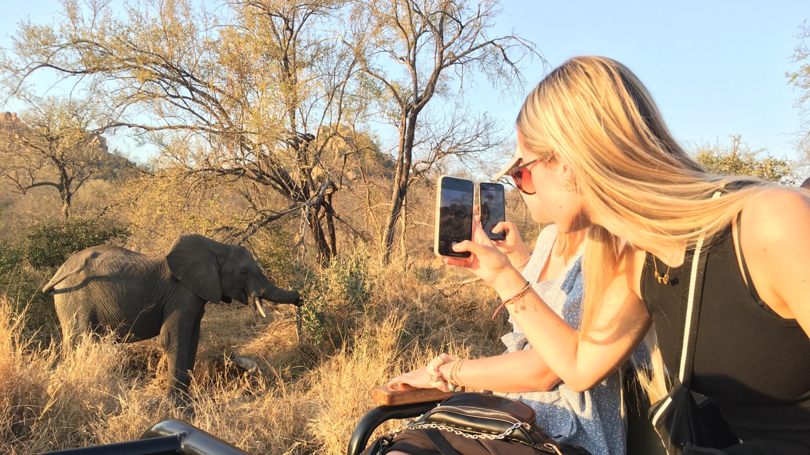 4-Day Kruger National Park Safari with Blyde River Canyon Route