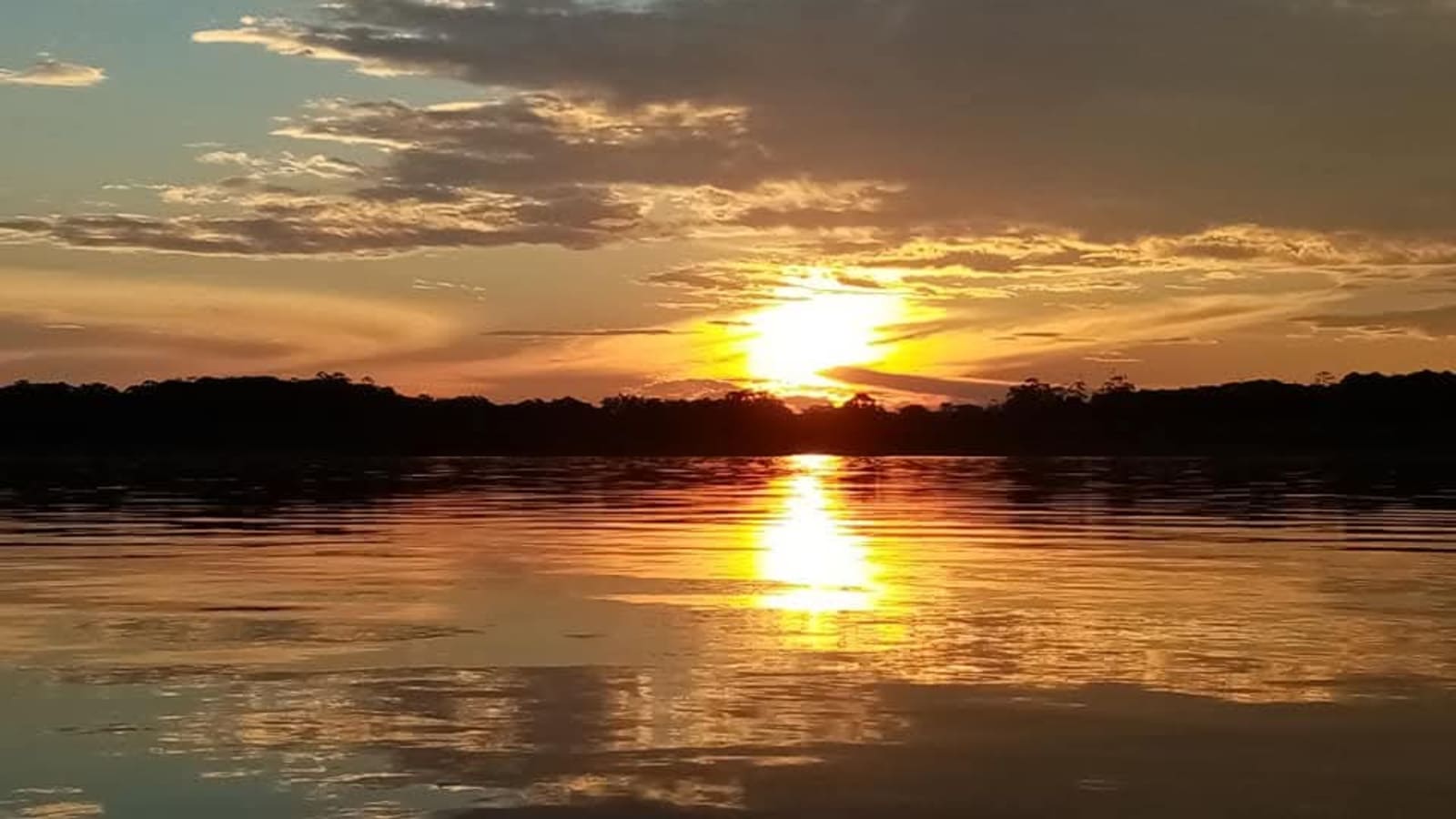 4-Day Amazon Wildlife Tour in Yanayacu with Ecolodge Stay