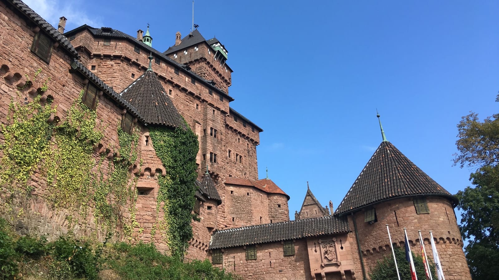 9-Hour Alsace Wine Route Tour with Colmar and Haut Koenigsbourg