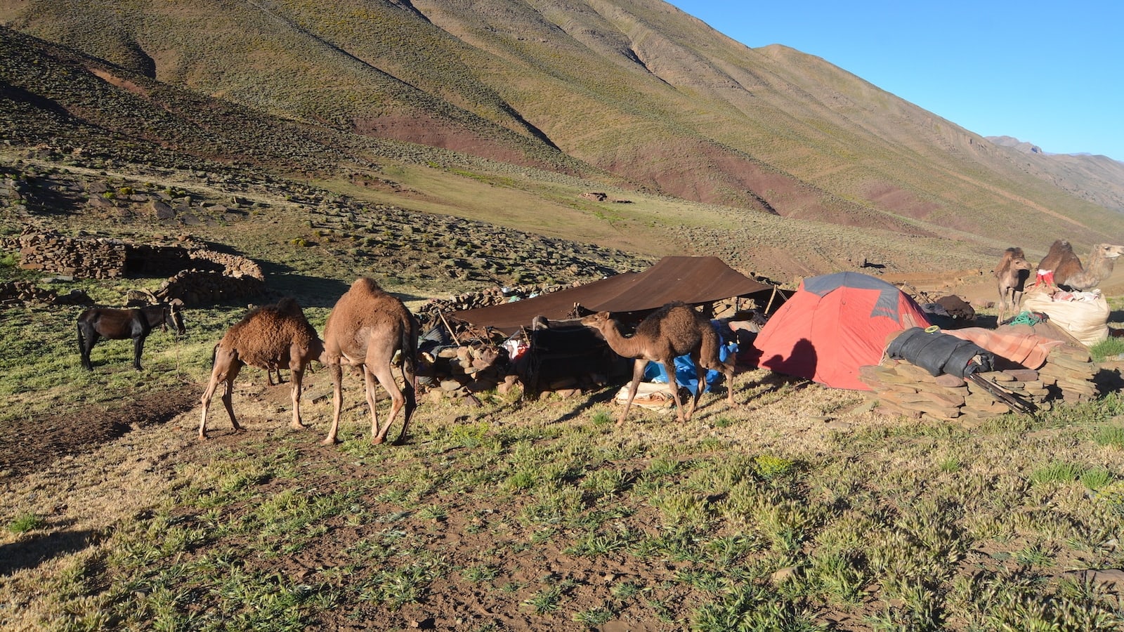 3-Day Nomad Homestay in Tamda from Marrakech with Ouzoud
