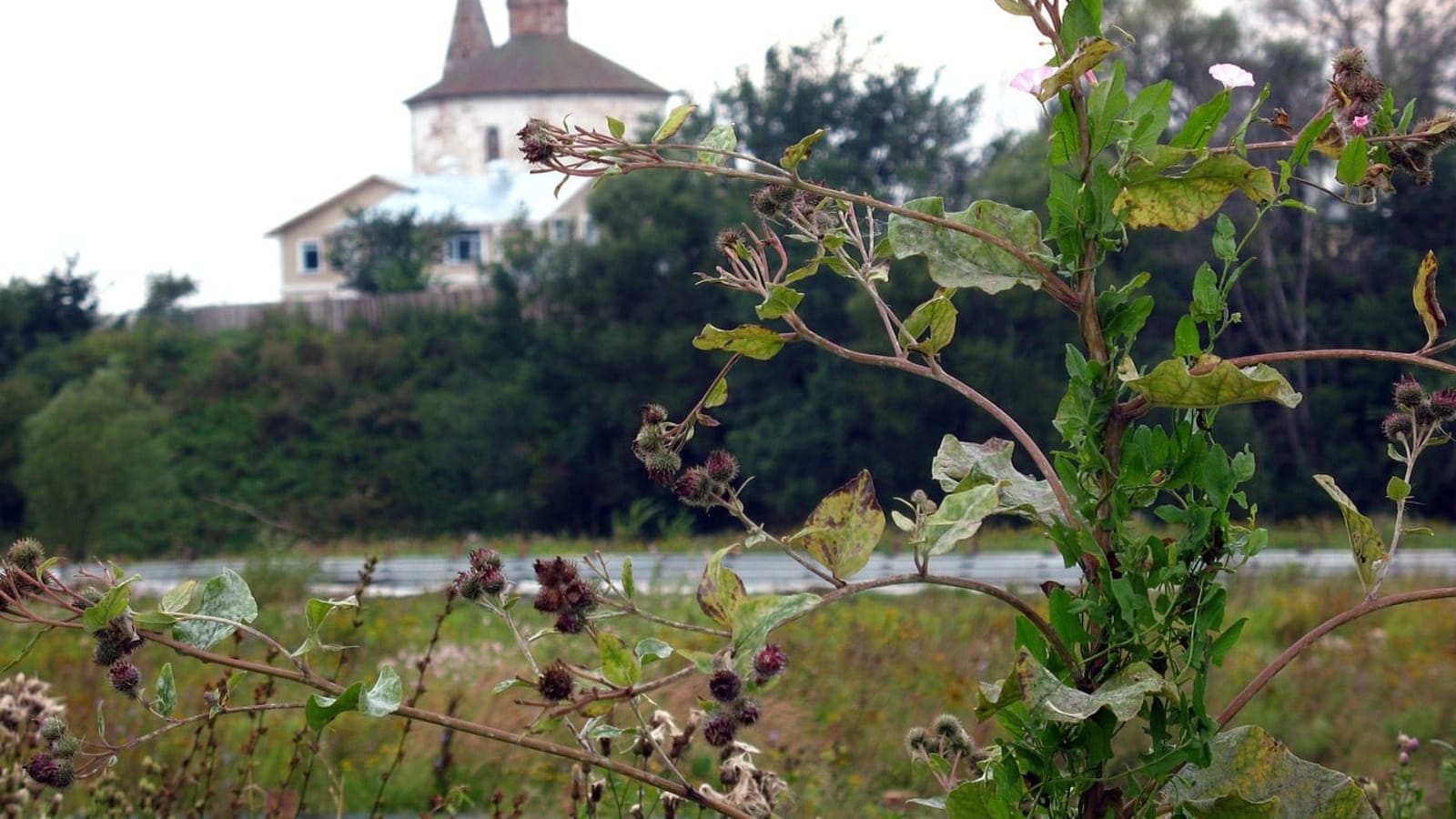 5-Hour Suzdal Highlights Tour with Kremlin and Wooden Architecture