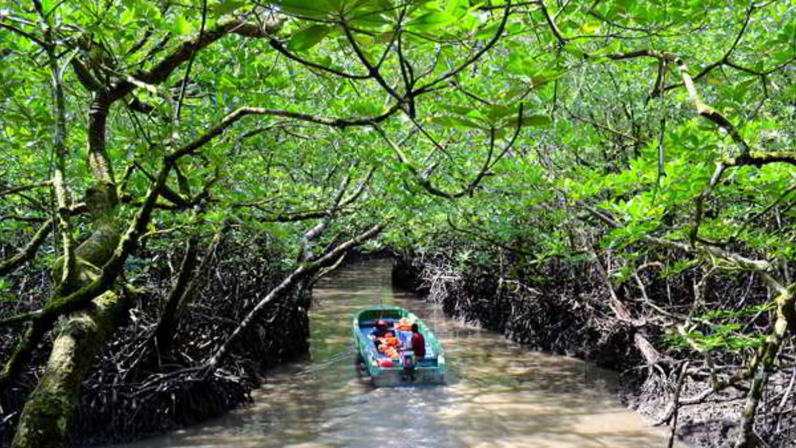 10-Hour Baratang Island Tour from Port Blair with Limestone Caves
