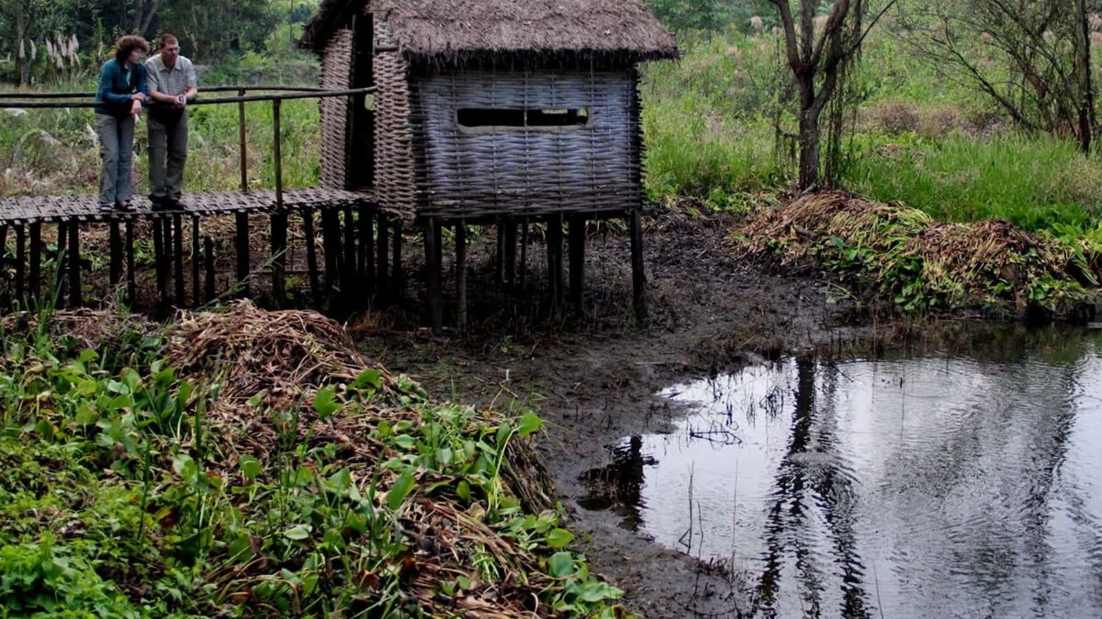 3-Day Koshi Tappu Wildlife Safari from Kathmandu with Flights