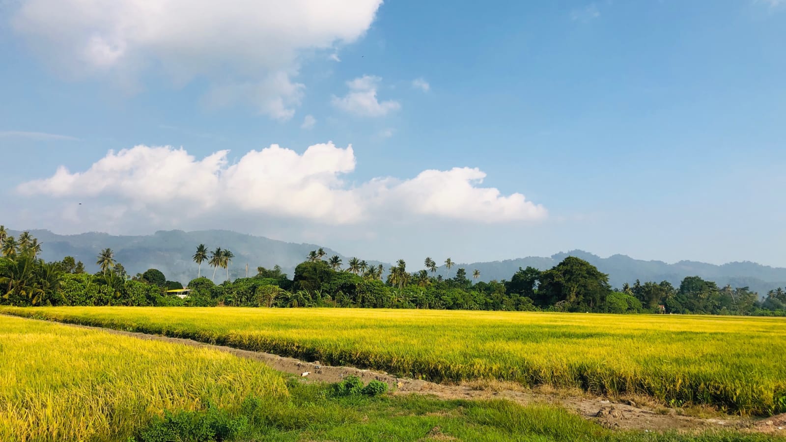 6-Hour Balik Pulau Penang Tour with Hidden River and Sunset