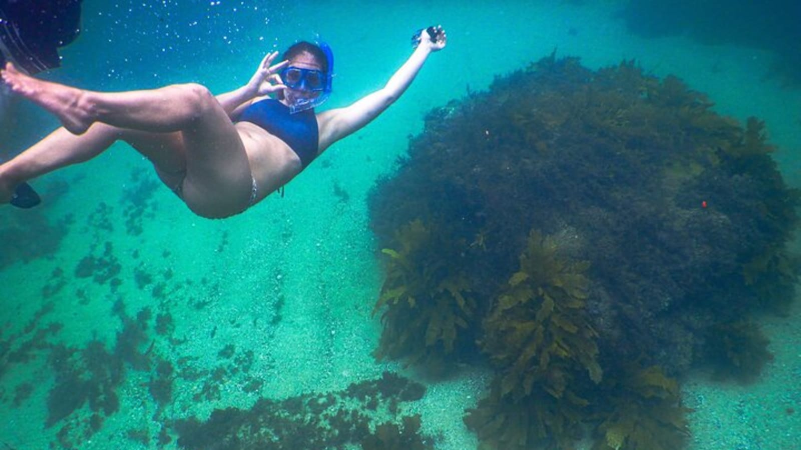 Snorkeling To Discover Sydney's Underwater Wonders