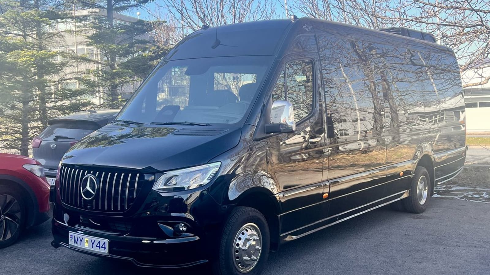 Private Transfer to or from Keflavik Airport To Reykjavik. Luxury Sprinter 19 Pax