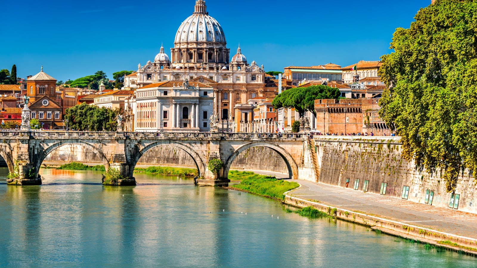 Civitavecchia Shore Excursion: Rome, Vatican & Colosseum