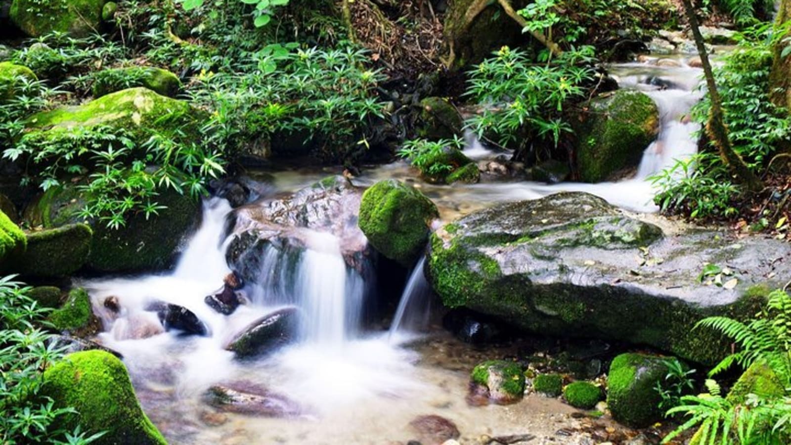 Hiking experience from Shivapuri to Nagi Gumba to Baghdwar