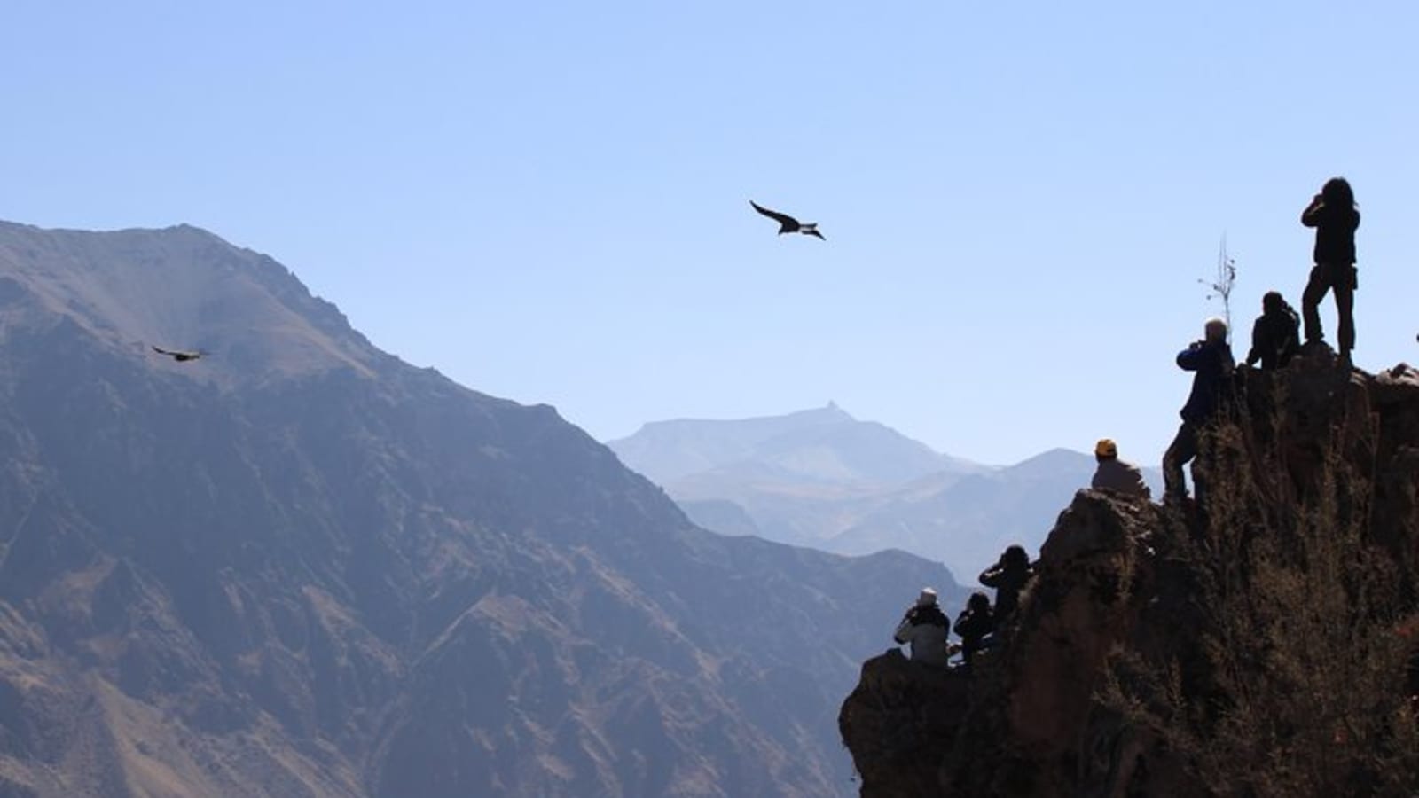 2-Day Flight of Condor on Colca Canyon from Arequipa